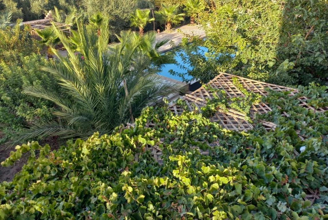 Riad Aman Skoura Buitenkant foto